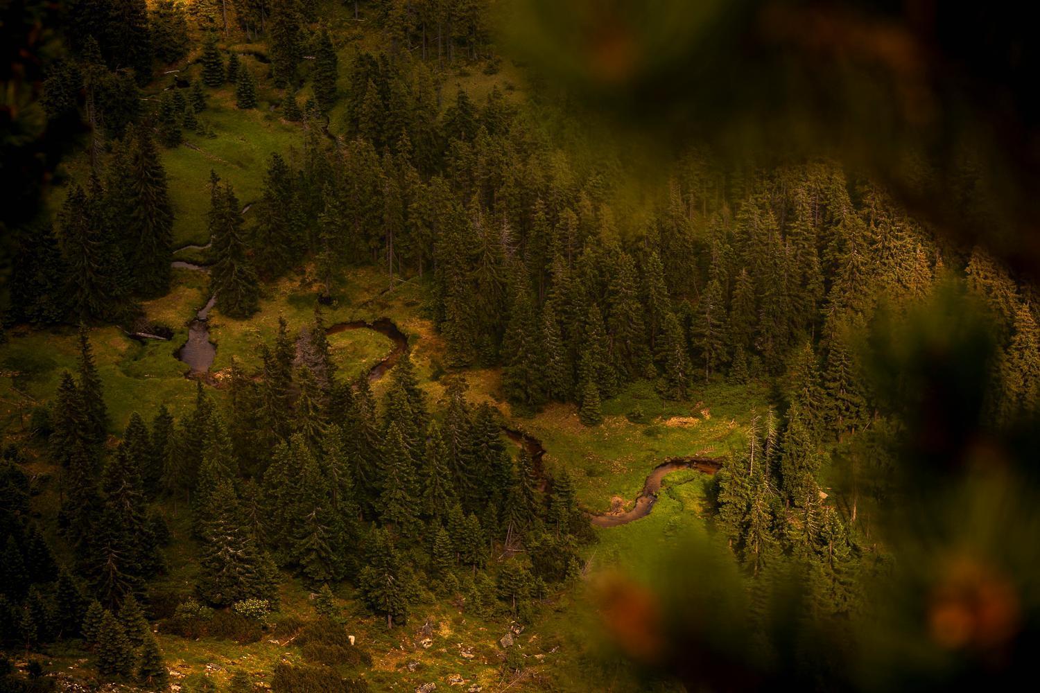 W Karkonoszach